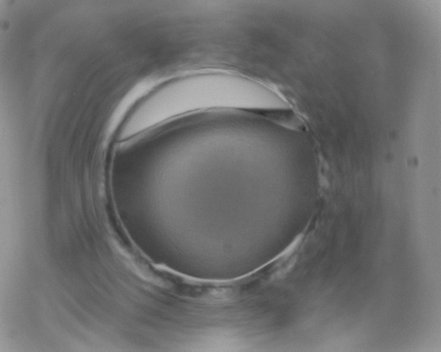 X0000077370056200611171959