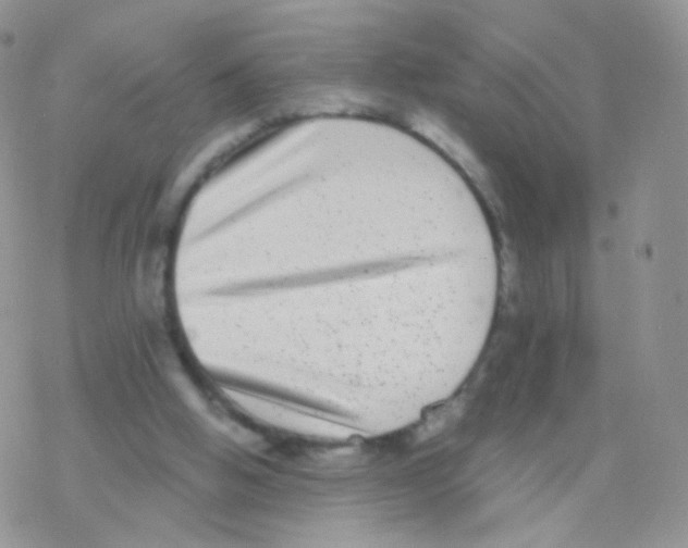 X0000077370058200611171959