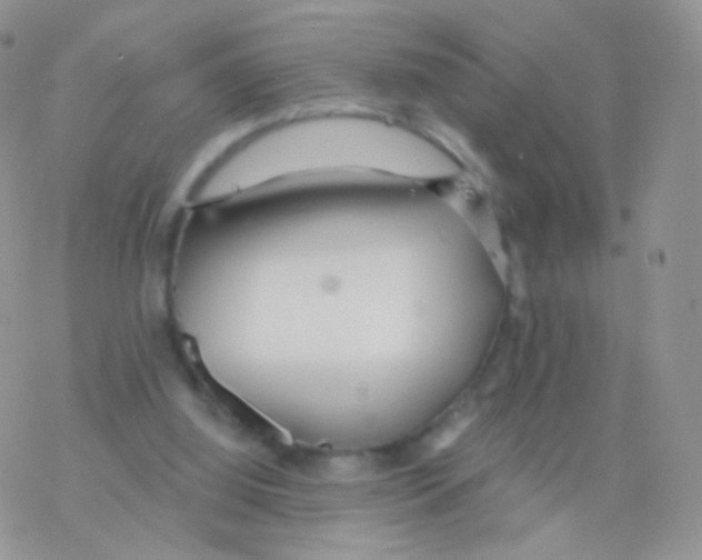 X0000077370060200611171959