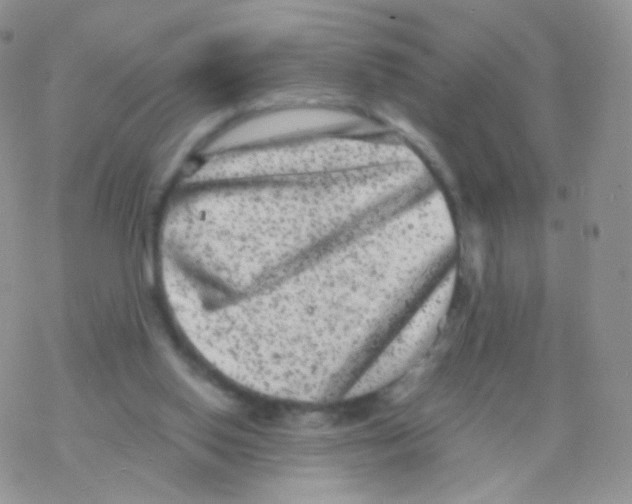 X0000077370062200611171959