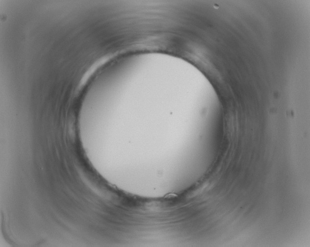 X0000077370064200611171959