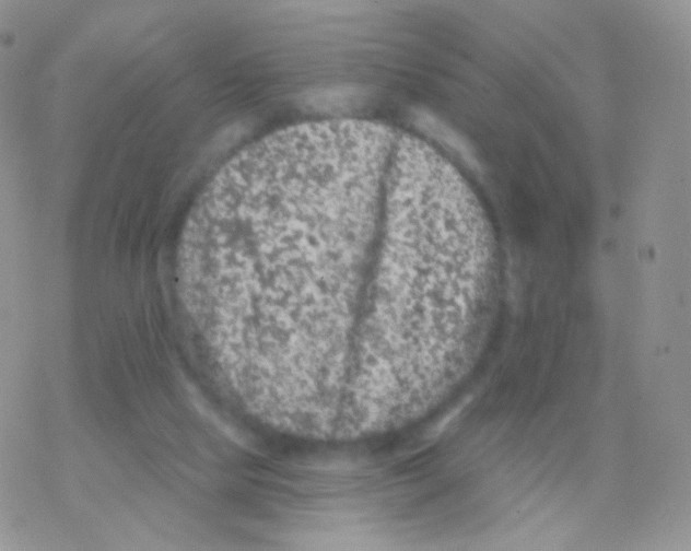 X0000077370065200611171959