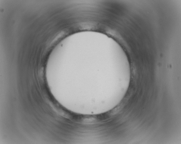 X0000077370066200611171959