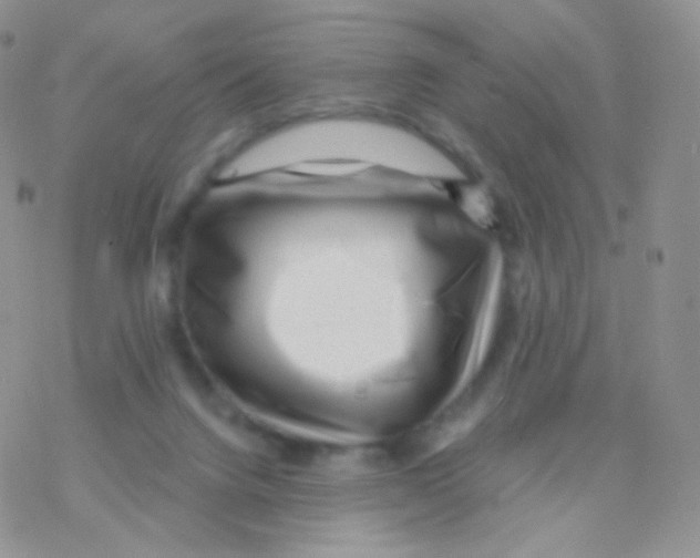 X0000077370072200611171959