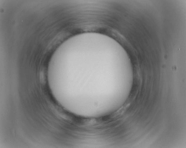 X0000077370074200611171959