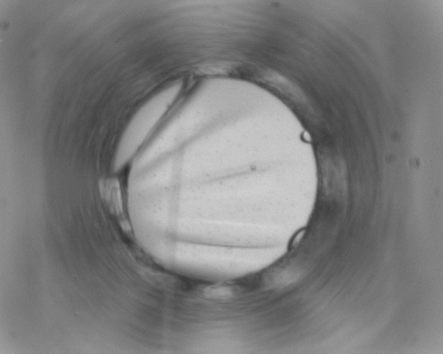 X0000077370075200611171959