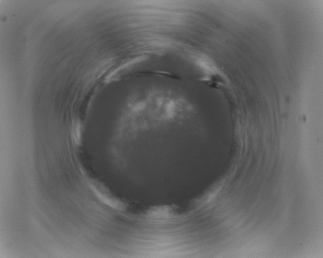 X0000077370076200611171959