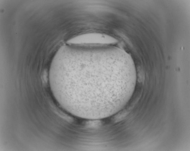 X0000077370077200611171959