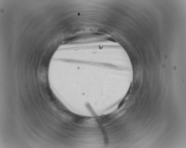 X0000077370078200611171959