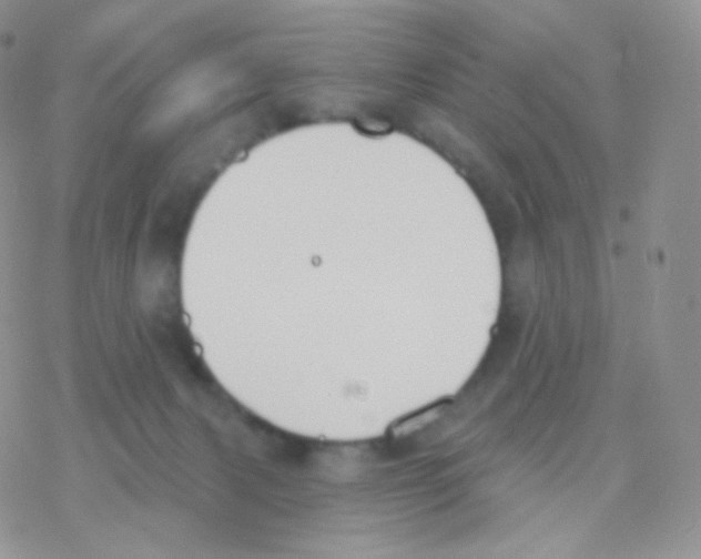 X0000077370079200611171959