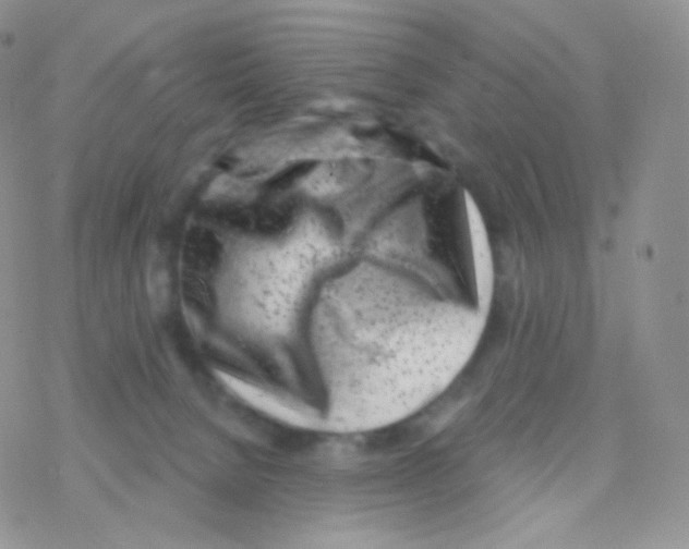 X0000077370080200611171959