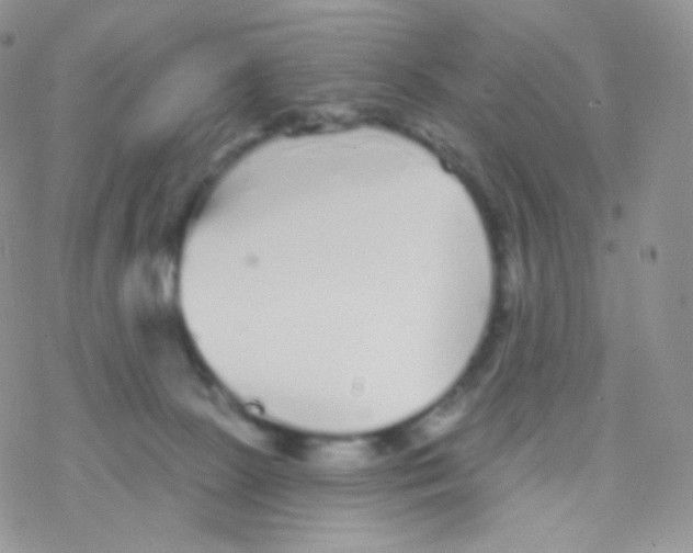 X0000077370081200611171959