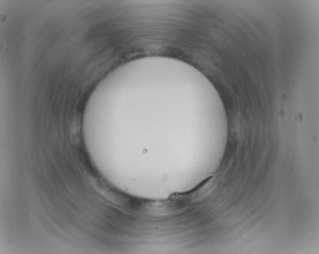 X0000077370082200611171959