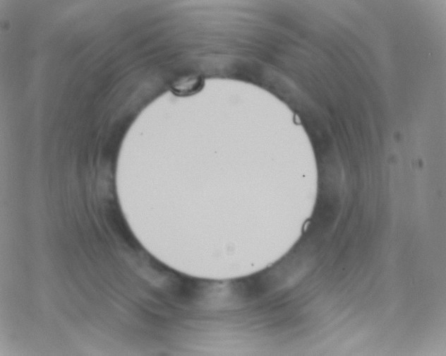 X0000077370083200611171959