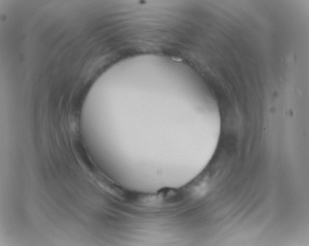 X0000077370084200611171959