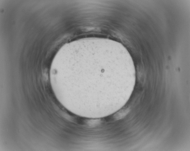 X0000077370085200611171959