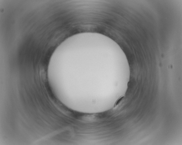 X0000077370086200611171959