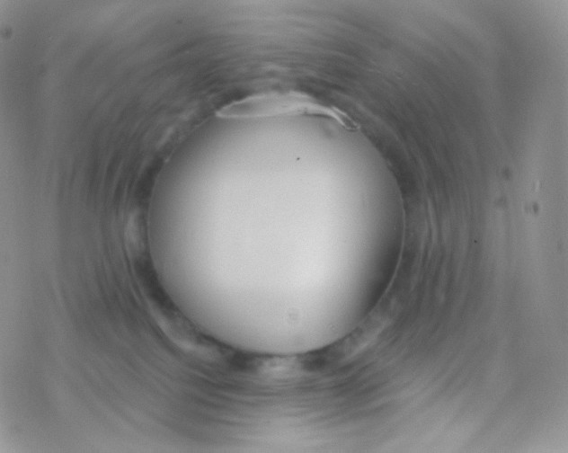 X0000077370088200611172000