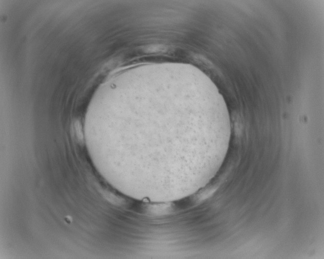 X0000077370089200611172000