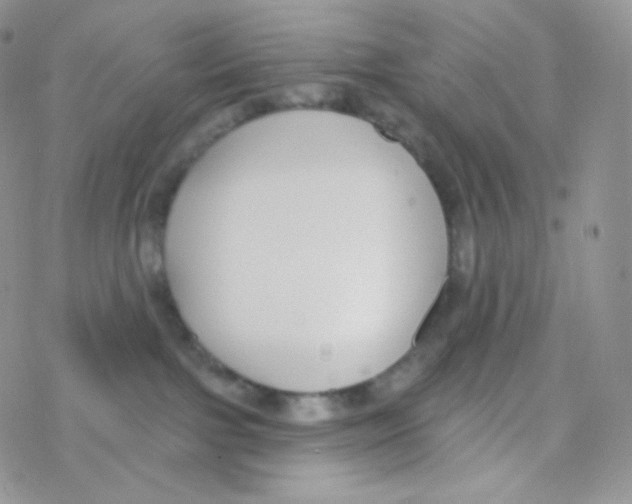 X0000077370091200611172000