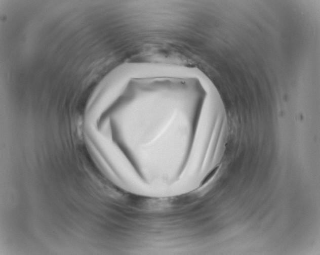 X0000077370094200611172000