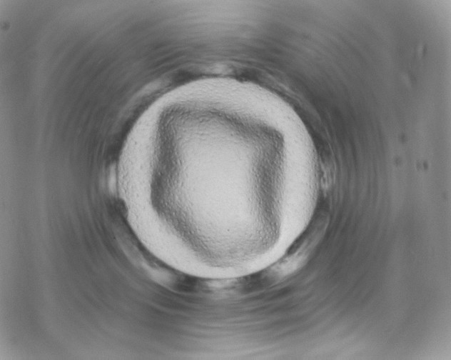 X0000077370095200611172000