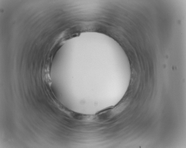 X0000077370096200611172000