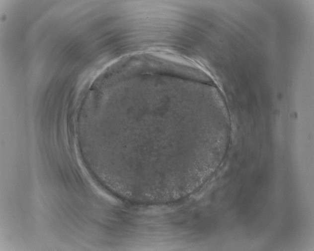 X0000077370097200611171959