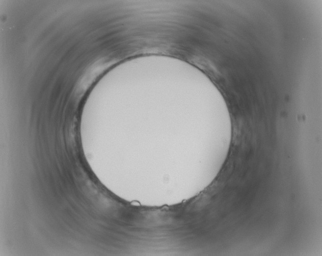 X0000077370098200611171959