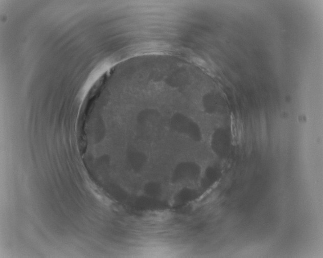 X0000077370099200611171959