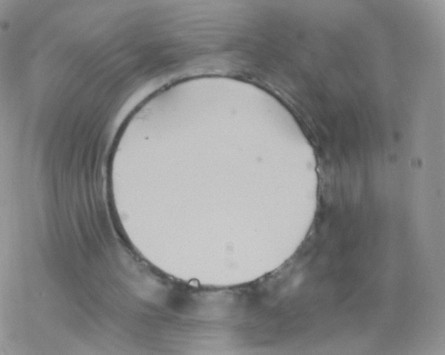 X0000077370100200611171959