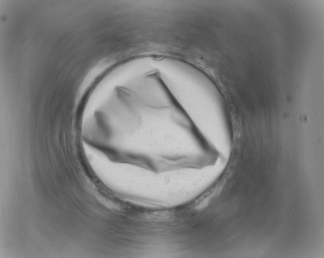 X0000077370102200611171959