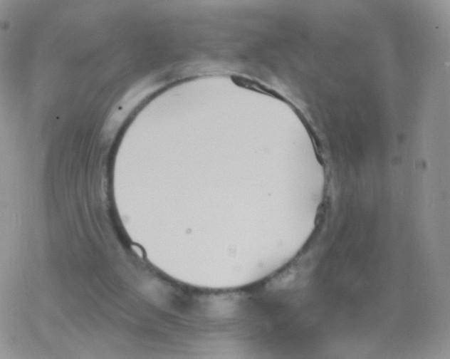 X0000077370103200611171959