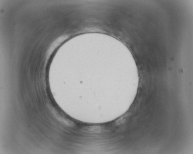 X0000077370104200611171959