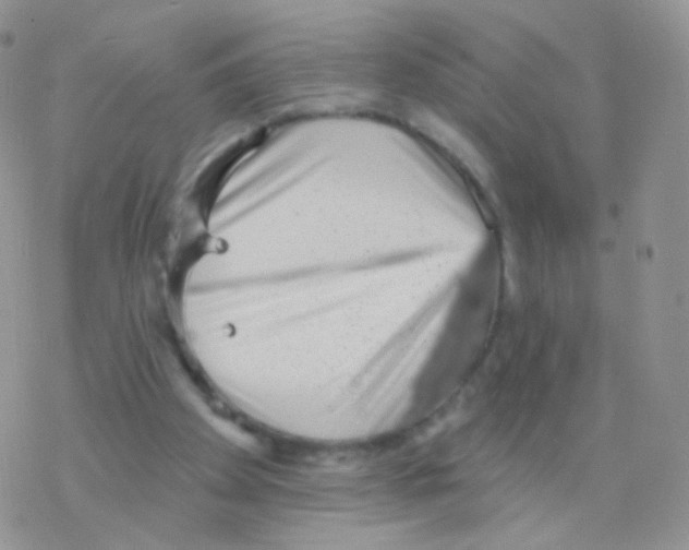 X0000077370105200611171959