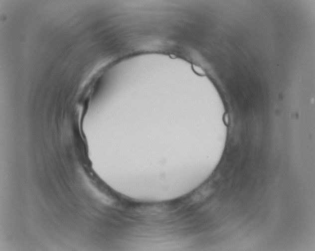 X0000077370106200611171959