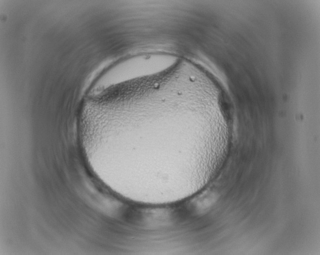 X0000077370107200611171959