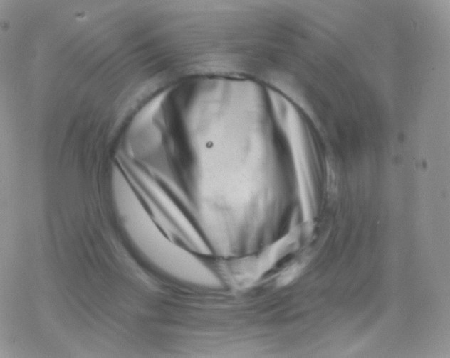 X0000077370109200611171959