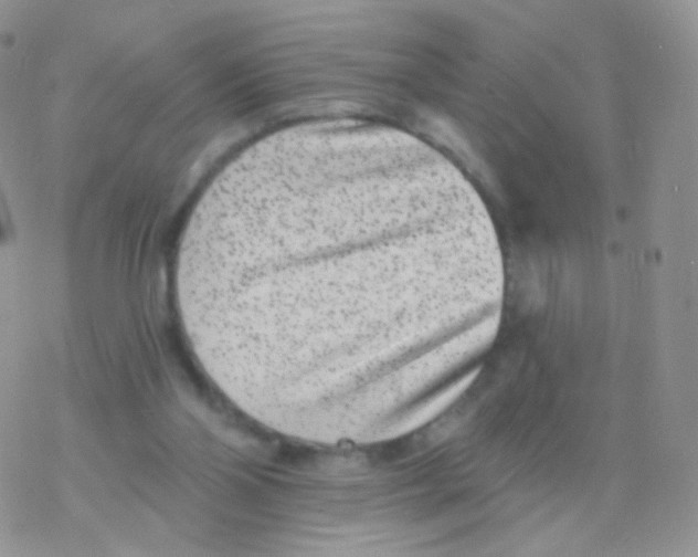 X0000077370110200611171959