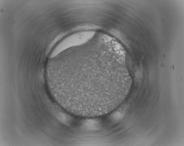 X0000077370111200611171959