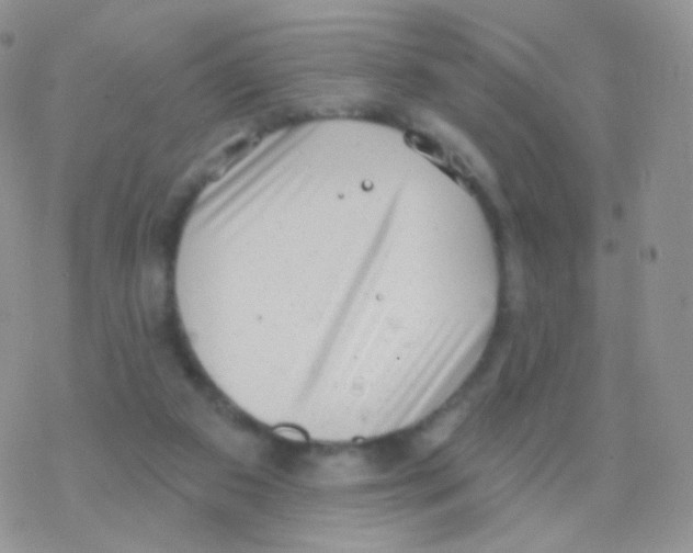 X0000077370113200611171959