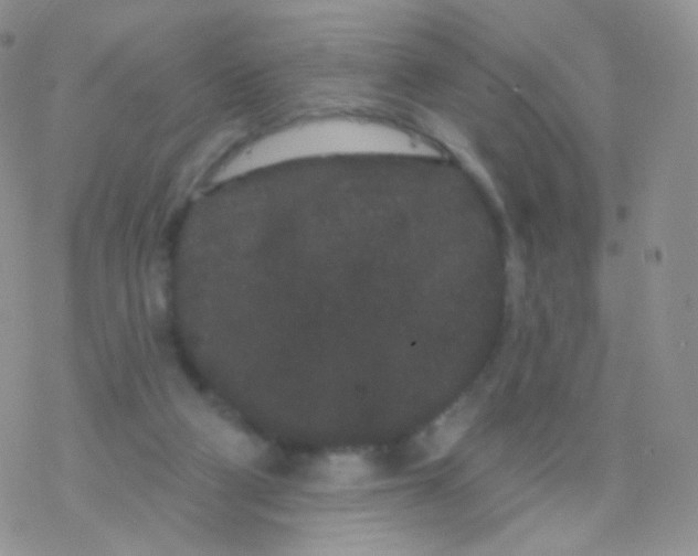 X0000077370114200611171959