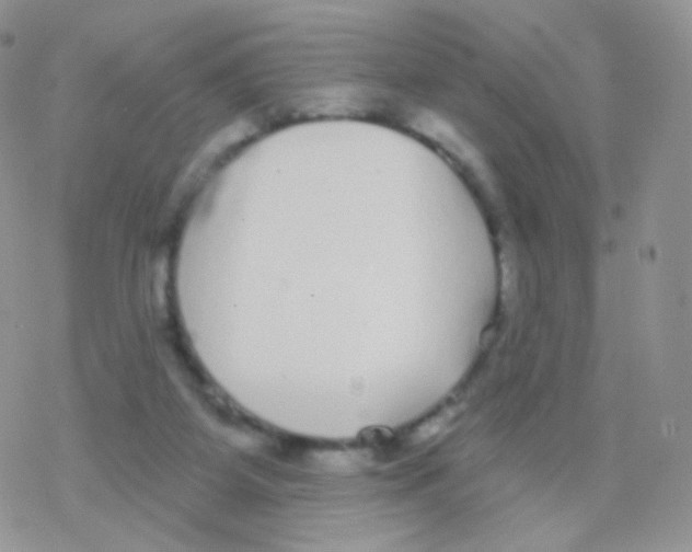 X0000077370115200611171959