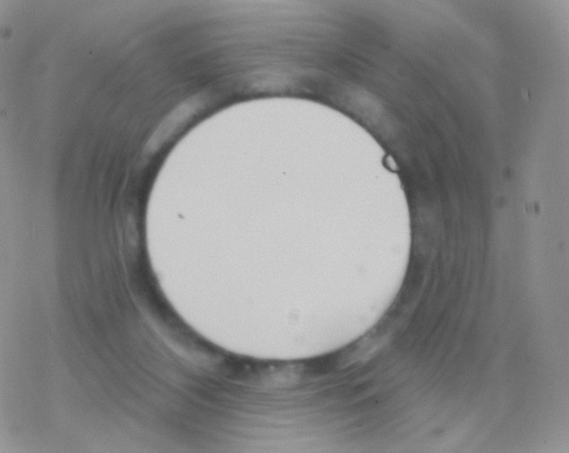 X0000077370116200611171959