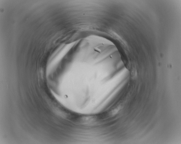 X0000077370117200611171959