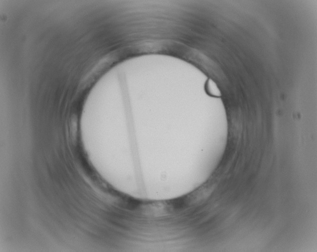 X0000077370118200611171959