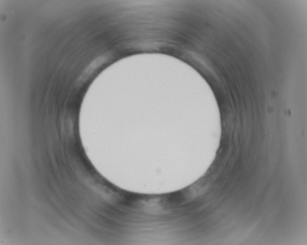 X0000077370120200611171958