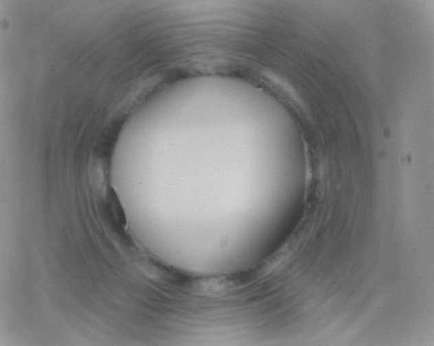 X0000077370121200611171958