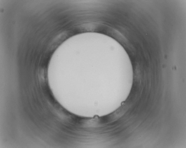 X0000077370122200611171958