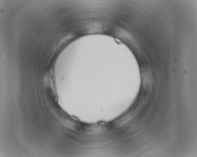 X0000077370123200611171958